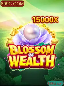 Explorando o Mundo de BlossomofWealth: Jogabilidade, Regras e Estratégias